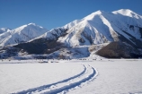 agricultural;agriculture;alp;alpine;alps;altitude;Arthurs-Pass-Road;Canterbury;cold;country;countryside;farm;farming;farmland;farms;field;fields;meadow;meadows;mount;Mount-Plenty;mountain;mountain-peak;mountainous;mountains;mt;Mt-Plenty;mt.;Mt.-Plenty;N.Z.;New-Zealand;NZ;paddock;paddocks;pasture;pastures;peak;peaks;range;ranges;rural;S.I.;season;seasonal;seasons;SI;snow;snow-capped;snow_capped;snowcapped;snowy;South-Is;South-Island;State-Highway-73;State-Highway-Seventy-Three;summit;summits;Torlesse-Range;track;tracks;white;winter;wintery