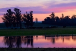 agricultural;agriculture;Canterbury;country;countryside;cow;cows;dam;dams;dusk;evening;farm;farming;farmland;farms;field;fields;irrigation-dam;livestock;meadow;meadows;N.Z.;New-Zealand;nightfall;NZ;orange;paddock;paddocks;pasture;pastures;pond;ponds;rural;S.I.;SI;sky;South-Canterbury;South-Is.;South-Island;sunset;sunsets;twilight;Waimate