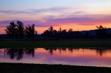 agricultural;agriculture;Canterbury;country;countryside;cow;cows;dam;dams;dusk;evening;farm;farming;farmland;farms;field;fields;irrigation-dam;livestock;meadow;meadows;N.Z.;New-Zealand;nightfall;NZ;orange;paddock;paddocks;pasture;pastures;pond;ponds;rural;S.I.;SI;sky;South-Canterbury;South-Is.;South-Island;sunset;sunsets;twilight;Waimate