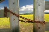 agricultural;agriculture;Canola;canterbury;chain;chained;chains;close;closed;cloud;clouds;color;colors;colour;colours;country;countryside;crop;cropping;crops;cultivate;cultivation;farm;farming;farmland;farms;fence;fences;field;fields;flower;flowers;gate;gate_way;gate_ways;gates;gateway;gateways;horticultural;horticulture;latch;lock;meadow;meadows;new-zealand;paddock;paddocks;pasture;pastures;rape-seed;rapeseed;rural;shut;sky;south-canterbury;south-island;yellow