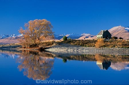churches;icon;lakes;meridian;reflection;reflections;tourism;willow-tree