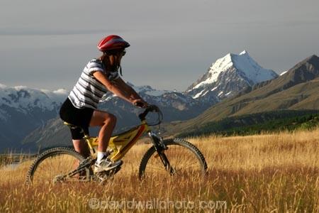 adventure;aoraki;bicycle;bicycles;Bicyclist;Bicyclists;bike;biker;Bikers;bikes;Biking;cycle;Cycles;Cycling;cyclist;Daytime;Exterior;female;females;fun;girl;girls;grass;grassy;health;healthy;high-country;idyllic;Leisure;long-grass;Look;Looking;mackenzie-country;mount-cook;mountain;Mountain-bike;mountain-bikes;Mountain-biking;Mountains;mt-cook;mt.cook;Nature;new-zealand;One;One-person;Outdoor;Outdoors;Outside;People;Person;Persons;Recreation;Ride;Riding;snow;south-island;Sport;sports;summer;woman;women;mountain;biking;cycling;
