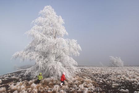 Activity;Amusement;beautiful;birch;boy;boys;brother;brothers;child;children;cold;Coldness;Color;Colour;Daytime;freeze;freezing;freezing-fog;frost;Frosted;frosty;Fun;Game;Games;girl;girls;green;hoar-frost;Hoarfrost;ice;icy;lake-ruataniwha;Landscape;Landscapes;little;Mackenzie-Country;natural;Nature;new-zealand;Outdoor;Outdoors;Outside;People;person;Persons;phenomena;Play;Playing;Recreation;red;Scenic;Scenics;Season;Seasons;silver-birch;sister;sisters;south-island;spectacular;stunning;toddler;toddlers;tree;trees;Twizel;Waitaki-District;White;winter;Wintertime;wintery