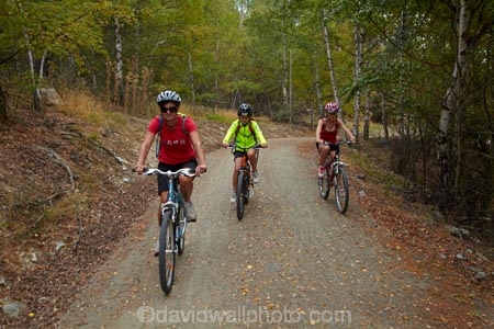Alps-2-Ocean-cycle-trail;Alps-to-ocean-cycle-trail;bicycle;bicycles;bike;bike-track;bike-tracks;bike-trail;bike-trails;bikes;boy;boys;Canterbury;child;children;cycle;cycle-track;cycle-tracks;cycle-trail;cycle-trails;cycler;cyclers;cycles;cyclist;cyclists;excercise;excercising;families;family;forest;forests;girl;girls;kid;kids;Mackenzie-Country;Mackenzie-District;mountain-bike;mountain-biker;mountain-bikers;mountain-bikes;mtn-bike;mtn-biker;mtn-bikers;mtn-bikes;N.Z.;New-Zealand;NZ;outdoor;outdoors;people;person;push-bike;push-bikes;push_bike;push_bikes;pushbike;pushbikes;S.I.;SI;South-Canterbury;South-Is;South-Is.;South-Island;Sth-Is;tree;trees
