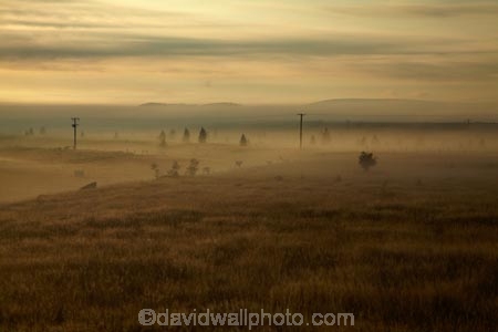 Canterbury;fog;foggy;fogs;line;lines;Mackenzie-Country;Mackenzie-District;mist;mists;misty;morning;New-Zealand;NZ;pole;poles;post;posts;power-line;power-lines;power-pole;power-poles;S.I.;SI;South-Canterbury;South-Is;South-Island;Sth-Is;telegraph-line;telegraph-lines;telegraph-pole;telegraph-poles;wire;wires