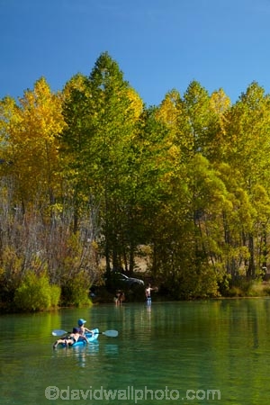 adventure;adventure-tourism;autuminal;autumn;autumn-colour;autumn-colours;autumnal;boat;boats;boy;boys;calm;canoe;canoeing;canoes;Canterbury;color;colors;colour;colours;deciduous;fall;gold;golden;kayak;kayaker;kayakers;kayaking;kayaks;leaf;leaves;Mackenzie-Country;New-Zealand;North-Otago;NZ;Ohau-River;paddle;paddler;paddlers;paddling;people;person;placid;quiet;reflected;reflection;reflections;S.I.;season;seasonal;seasons;serene;SI;smooth;South-Canterbury;South-Is;South-Island;Sth-Is;still;tourism;tourist;tourists;tranquil;tree;trees;vacation;vacations;Waitaki-District;Waitaki-Region;water;yellow