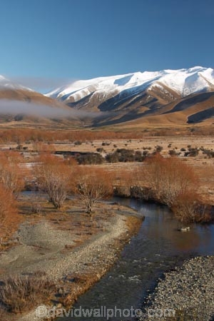 golden;mountains;mountain;ranges;range;grass;farm;farming;farms;farmland;paddock;paddocks;field;fields;pasture;pastures;meadow;meadows;agriculture;agricultural;frosty;frost;rural;ben-ohau-range;mackenzie-country;twizel;south-island;cold;winter;wintery;wintry;snow;snowy;middle-earth;lord-of-the-rings;lotr;pellanor-fields;pelannor-fields;pelanor;pellannor;stream;streams;brook-brooks;creek;creeks;river;rivers;fraser;black-hills;tree;trees;willow;willows