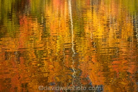 autuminal;autumn;autumn-colour;autumn-colours;autumnal;calm;color;colors;colour;colours;deciduous;fall;gold;golden;Kelland-Pond;Kelland-Ponds;Kellands-Pond;Kellands-Ponds;lake;Lake-Ruataniwha;lakes;leaf;leaves;Mackenzie-Country;Mackenzie-District;Mackenzie-Region;N.Z.;New-Zealand;North-Otago;NZ;Otago;placid;pond;ponds;quiet;reflected;reflection;reflections;S.I.;season;seasonal;seasons;serene;SI;smooth;South-Is;South-Island;Sth-Is;Sth-Is.;still;tranquil;tree;trees;trunk;trunks;Twizel;Waitaki-District;Waitaki-Region;water;yellow