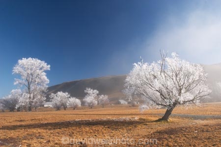 beautiful;calm;calmness;clean;clear;cold;Coldness;Color;Colour;Daytime;Exterior;freeze;freezing;freezing-fog;frost;Frosted;frosty;high-country;hoar-frost;Hoarfrost;ice;icy;idyllic;Landscape;Landscapes;mackenzie;mackenzie-country;waitaki-district;twizel;natural;Nature;new-zealand;Outdoor;Outdoors;Outside;peaceful;Peacefulness;phenomena;phenomenon;pure;Quiet;Quietness;Scenic;Scenics;Season;Seasons;silence;south-island;spectacular;stunning;sunny;tourism;tranquil;tranquility;tree;trees;view;waitaki;water;weather;White;winter;Wintertime;wintery;wintry;grass;grassy;farm;farmland;farms;farming;field;fields;paddock;paddocks;meadow;meadows;pasture;pastures;rural;agriculture;agricultural;country;countryside;farm-buildings;farm-building;woolshed;woolsheds;sheepshed;sheepsheds;wool-shed;wool-sheds;sheep-shed