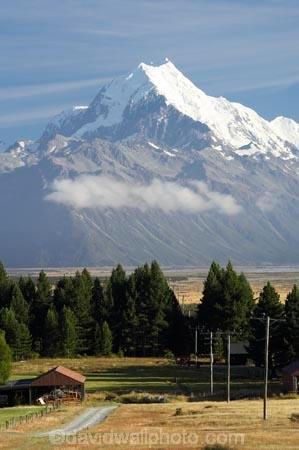 agricultural;agriculture;alp;alpine;alps;altitude;Aoraki;Aoraki-Mt-Cook;Aoraki-Mt-Cook-National-Park;barn;barns;Canterbury;country;countryside;crop;crops;farm;farm-building;farm-buildings;farming;farmland;farms;fence;fenceline;fencelines;fences;field;fields;glacial;glacier;glaciers;Glentanner;Glentanner-Station;hay-shed;hay-sheds;hayshed;haysheds;high-altitude;horticulture;Mackenzie-Country;main-divide;meadow;meadows;mount;mountain;mountain-peak;mountainous;mountains;mountainside;mt;Mt-Cook;Mt-Cook-National-Park;mt.;N.Z.;New-Zealand;NZ;old-building;old-buildings;paddock;paddocks;pasture;pastures;peak;peaks;pole-line;pole-lines;power-pole;power-poles;range;ranges;rural;shed;sheds;snow;snow-capped;snow_capped;snowcapped;snowy;South-Canterbury;South-Island;southern-alps;summit;summits;telegraph-pole;telegraph-poles;telephone-pole;telephone-poles;wooden-building;wooden-buildings;wool-shed;wool-sheds