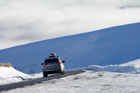 4wd;4wds;4wds;4x4;4x4s;4x4s;alp;alpine;alpine-resort;alpine-resorts;alpne;alps;altitude;Canterbury;cloud;clouds;cloudy;cold;fog;foggy;fogs;four-by-four;four-by-fours;four-wheel-drive;four-wheel-drives;freeze;freezing;gravel-road;gravel-roads;high-altitude;Mackenzie-Country;metal-road;metal-roads;metalled-road;metalled-roads;mist;mists;misty;mount;mountain;mountainous;mountains;mountainside;mt;mt.;N.Z.;New-Zealand;NZ;road;roads;Round-Hill-Ski-Area;Round-Hill-Ski-Field;Roundhill-Ski-Area;Roundhill-Ski-Field;S.I.;season;seasonal;seasons;SI;ski;ski-field;ski-fields;ski-resort;ski-resorts;skifield;skifields;skiing;slope;slopes;snow;snow-capped;snowy;South-Canterbury;South-Is;South-Island;southern-alps;sports-utility-vehicle;sports-utility-vehicles;Subaru-Tribeca;suv;suvs;Tekapo-Ski-Area;Tekapo-Ski-Field;Two-Thumb-Range;vehicle;vehicles;white;winter;winter-resort;winter-resorts;winter-sport;winter-sports;wintery