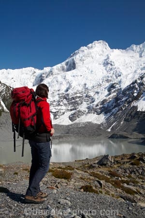 adventure;alp;alpine;alps;altitude;Aoraki-Mt-Cook-N.P.;Aoraki-Mt-Cook-National-Park;Aoraki-Mt-Cook-NP;Aoraki-Mt-Cook-N.P.;Aoraki-Mt-Cook-National-Park;Aoraki-Mt-Cook-NP;backpacker;backpackers;calm;Canterbury;glacial;glacial-flour;glacier;glaciers;high-altitude;hike;hiker;hikers;hiking;hiking-track;hiking-tracks;Lake-Mueller;main-divide;mount;Mount-Sefton;mountain;mountain-peak;mountainous;mountains;mountainside;mt;Mt-Cook-N.P.;Mt-Cook-National-Park;Mt-Cook-NP;Mt-Sefton;mt.;Mt.-Sefton;Mueller-Glacier;Mueller-Glacier-terminal-lake;Mueller-Lake;N.Z.;New-Zealand;NZ;outdoors;peak;peaks;placid;quiet;range;ranges;reflection;reflections;S.I.;serene;SI;smooth;snow;snow-capped;snow_capped;snowcapped;snowy;South-Canterbury;South-Is.;South-Island;southern-alps;still;summit;summits;tramp;tramper;trampers;tramping;tramping-tack;tramping-tracks;tranquil;trek;treker;trekers;treking;trekker;trekkers;trekking;walk;walker;walkers;walking;walking-track;walking-tracks;water