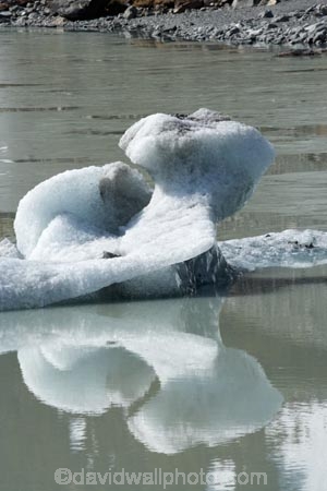 Aoraki-Mt-Cook-N.P.;Aoraki-Mt-Cook-National-Park;Aoraki-Mt-Cook-NP;Aoraki-Mt-Cook-N.P.;Aoraki-Mt-Cook-National-Park;Aoraki-Mt-Cook-NP;calm;Canterbury;glacial;glacial-flour;glacial-lake;glacial-lakes;glacier;glacier-ice;glacier-terminal-lake;glacier-terminal-lakes;glaciers;Hooker-Glacier-terminal-lake.;Hooker-Lake;Hooker-Valley;ice;iceberg;icebergs;icy;Mt-Cook-N.P.;Mt-Cook-National-Park;Mt-Cook-NP;N.Z.;New-Zealand;NZ;placid;quiet;reflection;reflections;S.I.;serene;SI;smooth;South-Canterbury;South-Is.;South-Island;still;tranquil;water