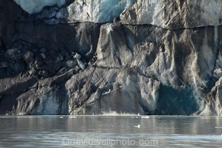 Aoraki-Mt-Cook-N.P.;Aoraki-Mt-Cook-National-Park;Aoraki-Mt-Cook-NP;Aoraki-Mt-Cook-N.P.;Aoraki-Mt-Cook-National-Park;Aoraki-Mt-Cook-NP;Canterbury;cold;freeze;freezing;frozen;glacial;glacial-flour;glacial-lake;glacial-lakes;glacier;Glacier-Terminal-Face;glacier-terminal-lake;glacier-terminal-lakes;glaciers;ice;iceberg;icebergs;icy;Mt-Cook-N.P.;Mt-Cook-National-Park;Mt-Cook-NP;N.Z.;New-Zealand;NZ;S.I.;SI;South-Canterbury;South-Is.;South-Island;Tasman-Glacier;Tasman-Glacier-Lake;Tasman-Glacier-Terminal-Face;Tasman-Glacier-Terminal-Lake;Tasman-Lake;Tasman-Terminal-Lake;Tasman-Valley;terminal-moraine
