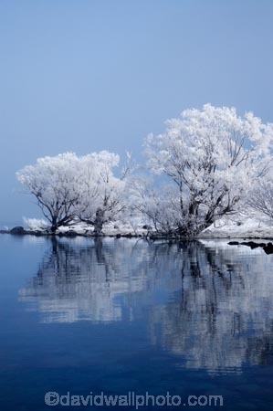 beautiful;calm;calmness;clean;clear;cold;Coldness;Color;Colour;Daytime;Exterior;extreme-weather;freeze;freezing;freezing-fog;frost;Frosted;frosty;frozen;high-country;hoar-frost;hoar-frosts;Hoarfrost;hoarfrosts;ice;ice-crystals;icy;idyllic;lake;Lake-Ohau;lakes;Landscape;Landscapes;Mackenzie-Country;N.Z.;natural;Nature;New-Zealand;NZ;Outdoor;Outdoors;Outside;peaceful;Peacefulness;phenomena;phenomenon;placid;pure;quiet;Quietness;reflection;reflections;rime;rime-ice;S.I.;Scenic;Scenics;season;seasonal;seasons;serene;SI;silence;smooth;South-Canterbury;South-Is;south-island;spectacular;still;stunning;tranquil;tranquility;view;water;weather;White;willow-tree;willow-trees;willows;winter;Wintertime;wintery;wintry
