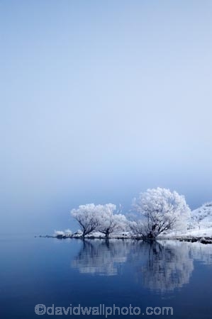 beautiful;calm;calmness;clean;clear;cold;Coldness;Color;Colour;Daytime;Exterior;extreme-weather;freeze;freezing;freezing-fog;frost;Frosted;frosty;frozen;high-country;hoar-frost;hoar-frosts;Hoarfrost;hoarfrosts;ice;ice-crystals;icy;idyllic;lake;Lake-Ohau;lakes;Landscape;Landscapes;Mackenzie-Country;N.Z.;natural;Nature;New-Zealand;NZ;Outdoor;Outdoors;Outside;peaceful;Peacefulness;phenomena;phenomenon;placid;pure;quiet;Quietness;reflection;reflections;rime;rime-ice;S.I.;Scenic;Scenics;season;seasonal;seasons;serene;SI;silence;smooth;South-Canterbury;South-Is;south-island;spectacular;still;stunning;tranquil;tranquility;view;water;weather;White;willow-tree;willow-trees;willows;winter;Wintertime;wintery;wintry