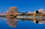 churches;icon;lakes;meridian;reflection;reflections;tourism;willow-tree