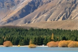 aauq;adventure;adventurous;autumn;blue;calm;calmness;camper-van;camper-vans;campervan;campervans;camping;clean;clear;Daytime;Exterior;fall;forest;forests;fresh;fun;green;health;healthy;high-country;holiday;holidays;idyllic;lake;lake-tekapo;lakes;Leisure;mackenzie-country;motor-home;motor-homes;motorhome;motorhomes;mountain;Mountains;Nature;new-zealand;Outdoor;Outdoors;Outside;Peaceful;Peacefulness;People;Person;Persons;pine;pines;pure;Quiet;Quietness;Recreation;Reflection;Reflections;scenery;Scenic;Scenics;season;seasons;silence;south-island;tekapo;tourism;tourist;tourists;tranquil;tranquility;transparent;travel;traveler;travelers;traveling;traveller;travellers;tree;trees;two-thumb-range;vacation;vacations;water;willow;willows