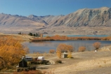 autumn;blue;calm;calmness;camp-ground;camp-grounds;camper;campers;camping;caravan;caravans;clean;clear;Daytime;Exterior;fall;golden;high-country;holiday;holiday-park;holidays;hut;huts;idyllic;kiwiana;lake;lake-mcgregor;lake-tekapo;lakes;Leisure;mackenzie-country;Nature;new-zealand;Outdoor;Outdoors;Outside;Peaceful;Peacefulness;pure;Quiet;Quietness;Recreation;Reflection;Reflections;scenery;Scenic;Scenics;season;seasonal;seasons;silence;south-island;tekapo;tranquil;tranquility;transparent;tree;trees;two-thumb-range;vacation;vacations;water;willow;willow-tree;willow-trees;willows;yellow