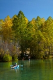 adventure;adventure-tourism;autuminal;autumn;autumn-colour;autumn-colours;autumnal;boat;boats;boy;boys;calm;canoe;canoeing;canoes;Canterbury;color;colors;colour;colours;deciduous;fall;gold;golden;kayak;kayaker;kayakers;kayaking;kayaks;leaf;leaves;Mackenzie-Country;New-Zealand;North-Otago;NZ;Ohau-River;paddle;paddler;paddlers;paddling;people;person;placid;quiet;reflected;reflection;reflections;S.I.;season;seasonal;seasons;serene;SI;smooth;South-Canterbury;South-Is;South-Island;Sth-Is;still;tourism;tourist;tourists;tranquil;tree;trees;vacation;vacations;Waitaki-District;Waitaki-Region;water;yellow