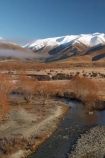 golden;mountains;mountain;ranges;range;grass;farm;farming;farms;farmland;paddock;paddocks;field;fields;pasture;pastures;meadow;meadows;agriculture;agricultural;frosty;frost;rural;ben-ohau-range;mackenzie-country;twizel;south-island;cold;winter;wintery;wintry;snow;snowy;middle-earth;lord-of-the-rings;lotr;pellanor-fields;pelannor-fields;pelanor;pellannor;stream;streams;brook-brooks;creek;creeks;river;rivers;fraser;black-hills;tree;trees;willow;willows