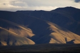 back-country;backcountry;Benmore-Range;high-altitude;high-country;highcountry;highlands;Last-Light;Mackenzie-Country;mountain;mountains;N.Z.;New-Zealand;North-Otago;NZ;Otago;range;ranges;remote;remoteness;S.I.;SI;South-Island;tussock;tussock-grass;tussocks;uiplands;upland;uplands;Waitaki-District