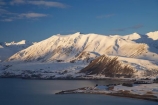 altitude;Canterbury;cold;freeze;freezing;high-altitude;Lake-Tekapo;late-light;Mackenzie-Country;mount;mountain;mountain-peak;mountainous;mountains;mountainside;mt;mt.;N.Z.;New-Zealand;NZ;peak;peaks;range;ranges;S.I.;season;seasonal;seasons;SI;snow;snow-capped;snow_capped;snowcapped;snowy;South-Canterbury;South-Is;South-Island;summit;summits;Tekapo;Two-Thumb-Range;white;winter;wintery