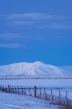 agricultural;agriculture;altitude;Canterbury;cold;country;countryside;dusk;evening;farm;farming;farmland;farms;fence;fence-line;fence-lines;fence_line;fence_lines;fenceline;fencelines;fences;field;fields;freeze;freezing;high-altitude;Mackenzie-Country;meadow;meadows;mount;mountain;mountain-peak;mountainous;mountains;mountainside;mt;mt.;N.Z.;New-Zealand;NZ;paddock;paddocks;pasture;pastures;peak;peaks;range;ranges;rural;S.I.;season;seasonal;seasons;SI;snow;snow-capped;snow_capped;snowcapped;snowy;Snowy-Farmland;South-Canterbury;South-Is;South-Island;summit;summits;Tekapo;twilight;white;winter;wintery