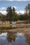 calm;camper;campers;Canterbury;caravan;caravans;holiday;holidays;lake;Lake-Middleton;lakes;Mackenzie-Country;Mackenzie-District;N.Z.;New-Zealand;NZ;Ohau;Ohau-Range;placid;quiet;reflected;reflection;reflections;S.I.;serene;SI;smooth;South-Canterbury;South-Is.;South-Island;still;tour;touring;tourism;tourist;tourists;trailer;tranquil;travel;travel-trailer;travel-trailers;traveler;travelers;traveling;traveller;travellers;travelling;vacation;vacations;water
