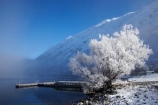 alpine;altitude;beautiful;Ben-Ohau;calm;calmness;clean;clear;cold;Coldness;Color;Colour;Daytime;Exterior;extreme-weather;freeze;freezing;freezing-fog;frost;Frosted;frosty;frozen;high-altitude;high-country;hoar-frost;hoar-frosts;Hoarfrost;hoarfrosts;ice;ice-crystals;icy;idyllic;jetties;jetty;lake;Lake-Ohau;lakes;Landscape;Landscapes;Mackenzie-Country;mount;mountain;mountain-peak;mountainous;mountains;mountainside;mt;mt.;N.Z.;natural;Nature;New-Zealand;NZ;Outdoor;Outdoors;Outside;peaceful;Peacefulness;peak;peaks;phenomena;phenomenon;pier;piers;pure;Quiet;Quietness;range;ranges;rime;rime-ice;S.I.;Scenic;Scenics;season;seasonal;seasons;SI;silence;snow;snow-capped;snow_capped;snowcapped;snowy;South-Canterbury;South-Is;south-island;spectacular;stunning;tranquil;tranquility;view;water;waterside;weather;wharf;wharfes;wharves;White;willow-tree;willow-trees;willows;winter;Wintertime;wintery;wintry