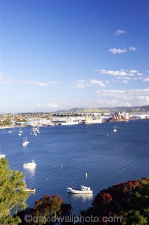 bay-of-plenty;boat;boats;commercial-fishing;fishing;fishing-boat;Fishing-Boats;mount-maunganui;Mt-Maunganui;new-zealand;north-is.;north-island;Tauranga;Tauranga-Harbour;trawler