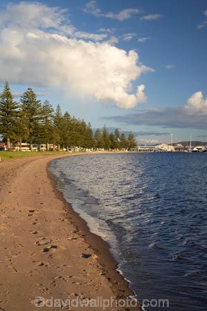 B.O.P.;Bay-of-Plenty;beach;beaches;BOP;coast;coastal;coastline;coastlines;coasts;foreshore;Mount-Maunganui;Mt-Maunganui;Mt.-Maunganui;N.I.;N.Z.;New-Zealand;NI;North-Is;North-Island;NZ;ocean;sea;shore;shoreline;shorelines;shores;Tauranga-Harbor;Tauranga-Harbour;water