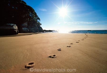 beach;beaches;footprint;footprints;foot-print;foot-prints;sun;sunny;dawn;early-morning;track;tracks;mosquito-bay;abel-tasman;abel-tasman-national-park;national-park;national-parks;direction;path;pathway;sand;sandy