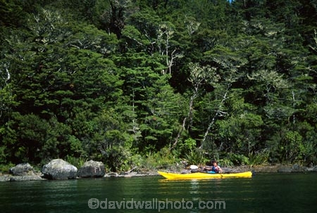 aqua;blue;bush;clear;color;colors;colour;colours;fern;ferns;forest;forests;green;kayak;kayaker;kayakers;kayaking;kayaks;lake;lakes;national-park;national-parks;native;nelson-lakes;nelson-lakes-national-park;paddle;paddler;paddlers;paddles;paddling;peace;peaceful;peacefulness;pure;rotoiti;see_through;tranquil;tranquility;water;yellow