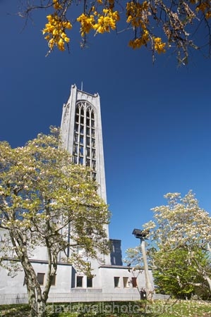 bell-tower;bell-towers;bloom;blooming;blooms;building;buildings;cathedral;cathedrals;Christ-Church-Cathedral;christian;christianity;church;churches;faith;fresh;grow;growth;heritage;historic;historic-building;historic-buildings;historical;historical-building;historical-buildings;history;kowhai;kowhai-flower;kowhai-flowers;kowhai-tree;kowhai-trees;N.Z.;Nelson;Nelson-City;Nelson-Region;New-Zealand;NZ;old;place-of-worship;places-of-worship;religion;religions;religious;renew;S.I.;season;seasonal;seasons;SI;South-Is.;South-Island;spire;spires;spring;springtime;steeple;steeples;tradition;traditional