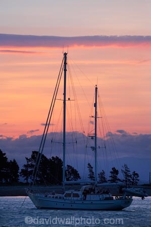 dusk;evening;Haulashore-Island;mast;masts;N.Z.;Nelson;Nelson-City;Nelson-Haven;Nelson-Region;New-Zealand;nightfall;NZ;pink;S.I.;SI;sky;South-Is.;South-Island;sunset;sunsets;Tasman-Bay;twilight;Wakefield-Quay;yacht;yachts