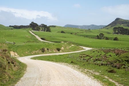 agricultural;agriculture;country;countryside;farm;farming;farmland;farms;field;fields;gravel-road;gravel-roads;meadow;meadows;metal-road;metal-roads;metalled-road;metalled-roads;N.Z.;Nelson-Region;New-Zealand;North-West-Nelson-Region;NZ;paddock;paddocks;pasture;pastures;road;roads;rural;S.I.;SI;South-Is.;South-Island;Whanganui-Inlet