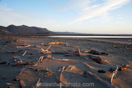 beach;beaches;coast;coastal;coastline;Collingwood;drift_wood;driftwood;early-light;Golden-Bay;N.Z.;Nelson-Region;New-Zealand;NZ;ocean;oceans;S.I.;sand;sandy;shore;shoreline;SI;South-Is.;South-Island;tidal;tide