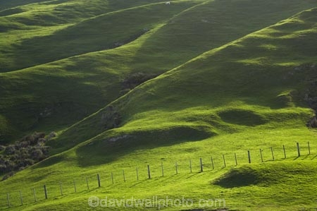 agricultural;agriculture;Cape-Farewell;country;countryside;farm;farming;farmland;farms;fence;fence-line;fence-lines;fence_line;fence_lines;fenceline;fencelines;fences;field;fields;hill;hills;hilly;meadow;meadows;N.Z.;Nelson-Region;New-Zealand;NZ;paddock;paddocks;pasture;pastures;rural;S.I.;SI;South-Is.;South-Island;sunlight