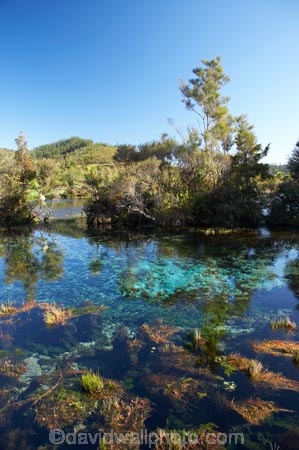 clean;clear;fresh-water;freshwater;Golden-Bay;mineral;N.Z.;natural;Nelson-Region;New-Zealand;NZ;Pupu-Springs;pure;purity;S.I.;SI;South-Is.;South-Island;spring;springs;Takaka;Te-Waikoropupu-Springs;Waikoropupu;Waikoropupu-Springs;water