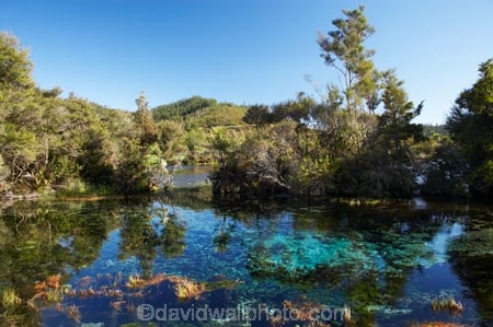clean;clear;fresh-water;freshwater;Golden-Bay;mineral;N.Z.;natural;Nelson-Region;New-Zealand;NZ;Pupu-Springs;pure;purity;S.I.;SI;South-Is.;South-Island;spring;springs;Takaka;Te-Waikoropupu-Springs;Waikoropupu;Waikoropupu-Springs;water