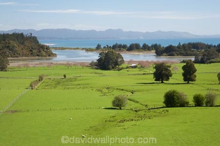 agricultural;agriculture;country;countryside;farm;farming;farmland;farms;field;fields;Golden-Bay;lookout;meadow;meadows;Motupipi-Estuary;N.Z.;Nelson-Region;New-Zealand;NZ;paddock;paddocks;pasture;pastures;rural;S.I.;SI;South-Is.;South-Island;Takaka;The-Grove;The-Grove-Scenic-Reserve;view;views