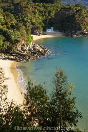 beach;beaches;Breaker-Bay;calm;coast;coastal;coastline;Golden-Sand;Honeymoon-Bay;idyllic;Kaiteriteri;N.Z.;Nelson-Region;New-Zealand;NZ;ocean;oceans;S.I.;sand;sandy;sea;seas;serene;shore;shoreline;SI;South-Is.;South-Island;Tasman-Bay