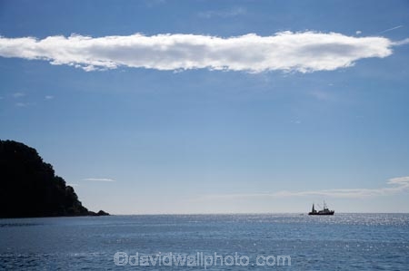 Abel-Tasman-N.P.;Abel-Tasman-National-Park;Abel-Tasman-NP;Fishing-Boat;Fishing-Boats;N.Z.;national-park;national-parks;Nelson-Region;New-Zealand;NZ;S.I.;SI;South-Is.;South-Island;Totaranui