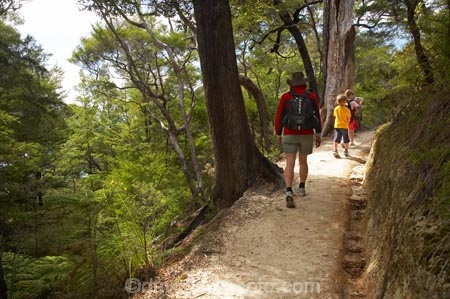 Abel-Tasman-Coast-Track;Abel-Tasman-Coastal-Track;Abel-Tasman-N.P.;Abel-Tasman-National-Park;Abel-Tasman-NP;beautiful;beauty;bush;child;children;endemic;families;family;female;forest;forests;green;hike;hiker;hikers;hiking;kids;model-release;model-released;mother;mothers;N.Z.;national-park;national-parks;native;native-bush;natives;natural;nature;Nelson-Region;New-Zealand;NZ;people;person;S.I.;scene;scenic;SI;South-Is.;South-Island;timber;tramp;tramper;trampers;tramping;tree;trees;trek;treker;trekers;treking;trekker;trekkers;trekking;walk;walker;walkers;walking;woman;women;wood;woods