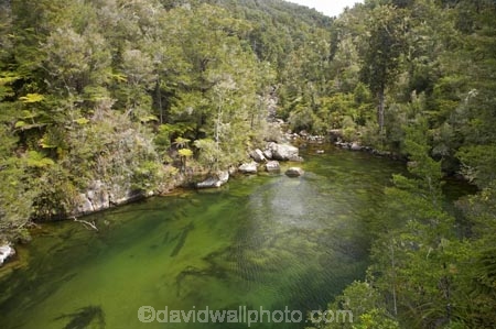 Abel-Tasman-Coast-Track;Abel-Tasman-Coastal-Track;Abel-Tasman-N.P.;Abel-Tasman-National-Park;Abel-Tasman-NP;beautiful;beauty;bush;endemic;estuaries;estuary;Falls-River;Falls-River-Inlet;Falls-River-Lagoon;forest;forests;green;inlet;inlets;lagoon;lagoons;N.Z.;national-park;national-parks;native;native-bush;natives;natural;nature;Nelson-Region;New-Zealand;NZ;rivers;S.I.;scene;scenic;SI;South-Is.;South-Island;tidal;tide;timber;tree;trees;water;wood;woods