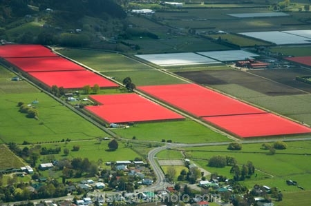 aerial;aerial-photo;aerial-photograph;aerial-photographs;aerial-photography;aerial-photos;aerial-view;aerial-views;aerials;agricultural;agriculture;bird-cloth;bird-cloths;bird-net;bird-nets;bird-netting;country;countryside;crop;crops;farm;farming;farmland;farms;field;fields;fruit;fruit-tree;fruit-trees;horticulture;meadow;meadows;N.Z.;Nelson-Region;New-Zealand;NZ;orchard;orchards;paddock;paddocks;pasture;pastures;red;row;rows;rural;S.I.;season;seasonal;seasons;shade-cloth;shade-net;shade-nets;shade-netting;shhade-cloths;SI;South-Is.;South-Island;spring;springtime;Tasman-Bay;tree;trees