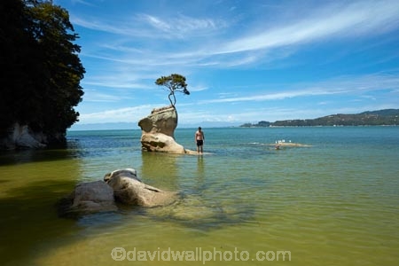 Abel-Tasman;Abel-Tasman-N.P.;Abel-Tasman-National-Park;Abel-Tasman-NP;beach;beaches;coast;coastal;coastline;coastlines;coasts;hot;model-release;model-released;MR;N.Z.;national-park;national-parks;Nelson-Region;New-Zealand;NZ;ocean;oceans;people;person;rock;S.I.;sea;seas;shore;shoreline;shorelines;shores;South-Is;South-Island;Sth-Is;summer;swimmer;swimmers;swimming;Tasman-Bay;Tasman-District;teenagers;Tinline-Bay;tourist;tourists;tree;tree-on-rock;water