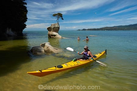 Abel-Tasman;Abel-Tasman-N.P.;Abel-Tasman-National-Park;Abel-Tasman-NP;adventure;adventure-tourism;boat;boats;canoe;canoeing;canoes;coast;coastal;coastline;coastlines;coasts;hot;kayak;kayaker;kayakers;kayaking;kayaks;M.R.;model-release;model-released;MR;N.Z.;national-park;national-parks;Nelson-Region;New-Zealand;NZ;ocean;oceans;paddle;paddler;paddlers;paddling;people;person;rock;S.I.;sea;sea-kayak;sea-kayaker;sea-kayakers;sea-kayaking;sea-kayaks;seas;shore;shoreline;shorelines;shores;South-Is;South-Island;Sth-Is;summer;swimmer;swimmers;Tasman-Bay;Tasman-District;Tinline-Bay;tourism;tourist;tourists;tree;tree-on-rock;vacation;vacations;water;yellow-kayak;yellow-kayaks