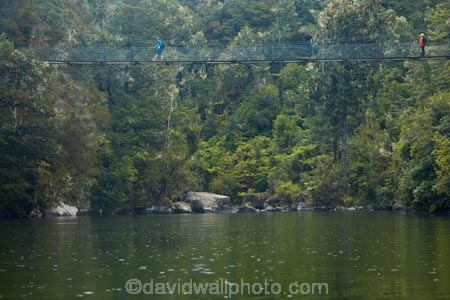 Abel-Tasman;Abel-Tasman-Coast-Track;Abel-Tasman-N.P.;Abel-Tasman-National-Park;Abel-Tasman-NP;Abel-Tasman-Track;bridge;bridges;estuaries;estuary;Falls-River;foot-bridge;foot-bridges;footbridge;footbridges;Great-Walk;Great-Walks;hiker;hikers;hiking;hiking-path;hiking-paths;hiking-trail;hiking-trails;inlet;inlets;lagoon;lagoons;N.Z.;national-park;national-parks;Nelson-Region;New-Zealand;NZ;path;paths;pathway;pathways;pedestrian-bridge;pedestrian-bridges;route;routes;S.I.;Sandfly-Bay;Sandfly-Bay-Lagoon;South-Is;South-Island;Sth-Is;suspension-bridge;suspension-bridges;swing-bridge;swing-bridges;swingbridge;swingbridges;Tasman-Bay;Tasman-District;tidal;tide;track;tracks;trail;trails;tramper;trampers;tramping-trail;tramping-trails;trekking;walker;walkers;walking-path;walking-paths;walking-track;walking-tracks;walking-trail;walking-trails;walkway;walkways;water;wire-bridge;wire-bridges